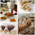 Total 75Pcs Natural Dried Pampas Grass Decor 17Inch,15Pcs White Pampas,15Pcs Brown Pampas,15Pcs Fluffy Bunny Tails Pampas Grass,30Pcs Reed Grass, for Flower Arrangements Boho Wedding Home Decor