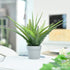 Hejdeco Artificial Fern Potted Plants 2 Pack, Fake Boston Fern, 19pcs Greenery Foliage, Up to 20-inch Wide, Perfect for Home Office Decor (Grey)