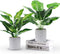 WUKOKU 2pcs Fake Plants Small Artificial Potted Plants Office Plants for Home Farmhouse Bathroom Bedroom Kitchen Desk Decor