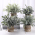 Artificial Topiaries Plants & Flowers, 4 Pcs Mini Plants Artificial Potted Set Fake Green Grass Plant Faux Plastic Topiary for Home Office Desk Bathroom Kitchen Counter Decoration (Nature)