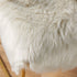 EasyJoy Ultra Soft Fluffy Rugs Faux Fur Rug Chair Cover Seat Pad Fuzzy Area Rug for Bedroom Floor Sofa Living Room (2 x 3 ft Sheepskin, Beige)