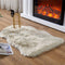 EasyJoy Ultra Soft Fluffy Rugs Faux Fur Rug Chair Cover Seat Pad Fuzzy Area Rug for Bedroom Floor Sofa Living Room (2 x 3 ft Sheepskin, Beige)
