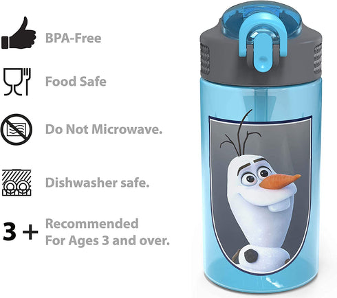 Zak Designs Disney Frozen 2 Kids Water Bottle Set with Reusable Straws and Built in Carrying Loops, Made of Durable Stainless Steel & Plastic, Leak-Proof Bottle Design (Elsa/Anna, BPA-Free, 2pc Set)