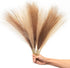 Leerui Faux Pampas Grass, Set of 6 Stems Large Tall 17'' Artificial Fake Flowers,Artificial Pampas Grass Vase-Dried Pampas Grass-Pompous Grass Branches Large