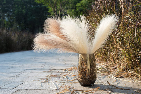 Leerui Faux Pampas Grass, Set of 6 Stems Large Tall 17'' Artificial Fake Flowers,Artificial Pampas Grass Vase-Dried Pampas Grass-Pompous Grass Branches Large