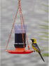Perky-Pet 253 Oriole Jelly Wild Bird Feeder , Red
