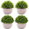 CEWOR 4 Packs Artificial Potted Plants Bathroom Home Office Decor Mini Fake Greenery Faux Topiary Shrubs Plants for Desk Decoration
