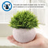 CEWOR 4 Packs Artificial Potted Plants Bathroom Home Office Decor Mini Fake Greenery Faux Topiary Shrubs Plants for Desk Decoration