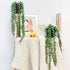 FUNARTY 2pcs Fake Hanging Plants, Artificial Succulent Plants String of Pearls with Planter, Faux Plants for Wall Home Garden Decor