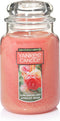 Yankee Candle Large Jar Candle, Sun-Drenched Apricot Rose