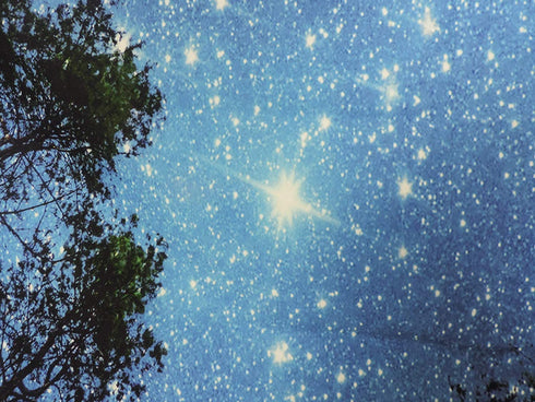 Forest Starry Tapestry Wall Tapestry Wall Hanging Galaxy Tapestry Hippie Milky Way Tapestry Sky Tapestry Tree Tapestry Night Sky Tapestry Mandala Bohemian Tapestry for Bedroom Dorm Decor