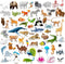 SpriteGru 59 PCS Farm Animal Zoo Magnets for Toddlers Kids, Perfect Preschool Learning