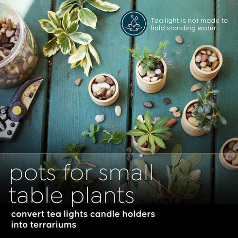 Cedar and Ink Bamboo Tealight Candle Holder, Rustic Centerpiece, Wedding Wood Centerpieces, 6-Pack Wooden Candle Holders, 1.5-Inch-Tall Table Tea Light Holders
