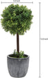 MyGift Artificial Boxwood Topiary Trees, Fake Plants Decor - 12 Inch Faux Tabletop Decorative Small House Plant with Gray Ceramic Pots, Set of 2