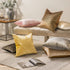 Phantoscope Pack of 2 Sparkling Velvet Decorative Throw Pillow Covers Soft Gold Glitter Square Cushion Cover Pillowcase for Couch Bed and Chair, Beige, 20 x 20 inches, 50 x 50 cm