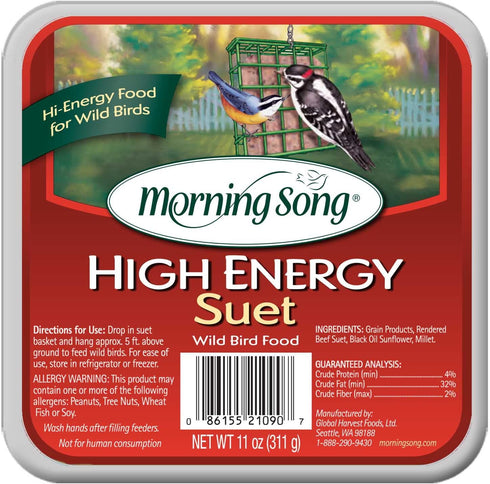 Morning Song 11433 014207 High Energy Suet Wild Bird Food, 11-Ounce