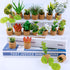 JUSTDOLIFE Plant Fridge Magnets-14 Pack Mini Succulent Plants Magnets Artificial Plants Refrigerator Magnets Potted Succulent Plants Magnet Stickers Cute for Magnet Boards Fridge Home Office Décor