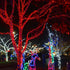 Funpeny 300 LED Valentine's Day String Lights, 100 FT Plug in Connectable Waterproof Fairy String Lights Green Wire with 8 Modes for Indoor Outdoor Xmas Tree Home Garden Decorations (Red)