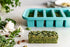 Souper Cubes 1/2-Cup Freezing Tray with lid, makes 6 perfect 1/2 cup portions, freeze pesto, salsa, or sauce