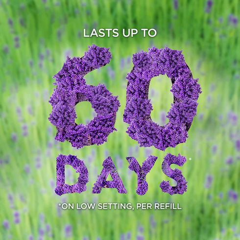 Air Wick Plug in Scented Oil Refill Freshener Essential Oils, Hibiscus and Blooming Orchids, 5 Count