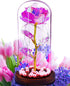 Gifts For Mothers Day Forever Rose, Best Birthday Gifts for Mom Women Wife Girl, Unique Valentines Day Gifts for Her, Idea Gifts for Friends Female Anniversary, Teachers Day, Christmas, Thank You Gift