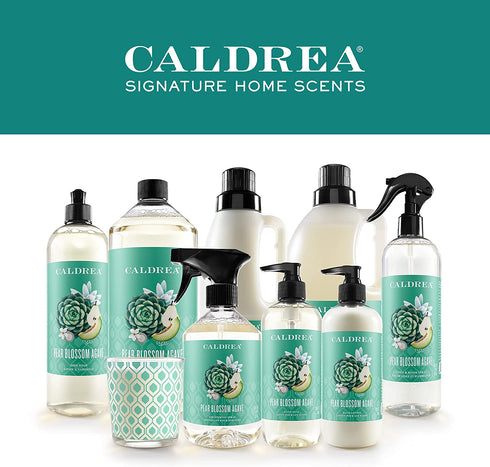 Caldrea Multi-surface Countertop Spray Cleaner, Made with Vegetable Protein Extract, Pear Blossom Agave Scent, 16 oz (Packaging May Vary)