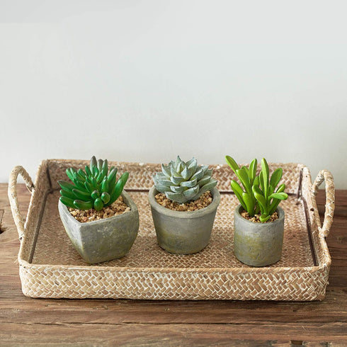 MOTINI Green Mini Artificial Succulents Plants Potted Small Faux Succulent in Cement Pots Fake Realistic Plant for Home Office Decor Indoor Outdoor, Set of 3