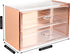 Moosy Life Rose Gold Desktop Organizer with Drawers, 2 Spaces, Acrylic, Moonlight Series
