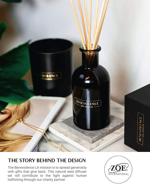 Reed Diffusers for Home | Energizing Redcurrant & Vanilla Fragrance Diffuser | Aromatherapy Scented Oil Reed Diffuser Set | Scented Oil Diffuser Sticks Diffuser | Set The Mood for Productivity