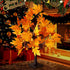 CKE 24 Inch Artificial Fall Tree Lighted Maple Tree Battery USB Operated w/Timer, 24 LED Thanksgiving Decorations Table Lights Tree for Autumn Wedding Party Gift Indoor Outdoor Harvest Home Decoration