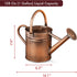 Homarden 81 oz. Copper Watering Can - Metal Watering Can with Removable Spout, Perfect Galvanized Watering Can for Indoor and Outdoor Plants (House Plants) - Flower Watering Can Gift & Decoration