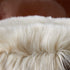 EasyJoy Ultra Soft Fluffy Rugs Faux Fur Rug Chair Cover Seat Pad Fuzzy Area Rug for Bedroom Floor Sofa Living Room (2 x 3 ft Sheepskin, Beige)