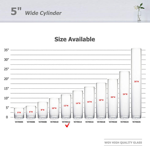 WGV Cylinder Vase, Diameter 5", Height 12", Clear Glass Floral Planter Container, Tall Centerpiece Arrangement for Wedding Party Event Home Office Decor, 1 Piece