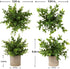 Artificial Mini Potted Plants Plastic Fake Green Plant Small Faux Plants in Pots for Home Table Office Desk Room Bathroom House Decor