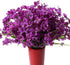 Artificial Flowers Outdoor, 20 Bundles Artificial Plants UV Resistant Fake Plants for Outdoors Outside Front Porch Window Box Hanging Planter Decoration(Purple)