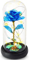 Valentines Day Gifts for Women, Birthday Gifts Thanksgiving Gifts Forever Preserved Rose Flower Gifts Beauty and The Beast Rose in Glass Dome with Warm Light, Unique Gift for Her Women Mom (Blue)