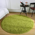 Chicrug Fluffy Round Area Rugs for Girls Bedroom, 4x4 Feet Shaggy Circle Area Rug for Living Room, Soft Fuzzy Carpets for Princess Room, Cute Rug Kids Circular Playmats for Baby Nursery Home, Green