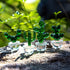 H&D HYALINE & DORA 4pcs Handmade Glass Blown Cactus Cute Crystal Art Cactus Figurines Collectibles Desk Tabletop Simulation Plants Decorations