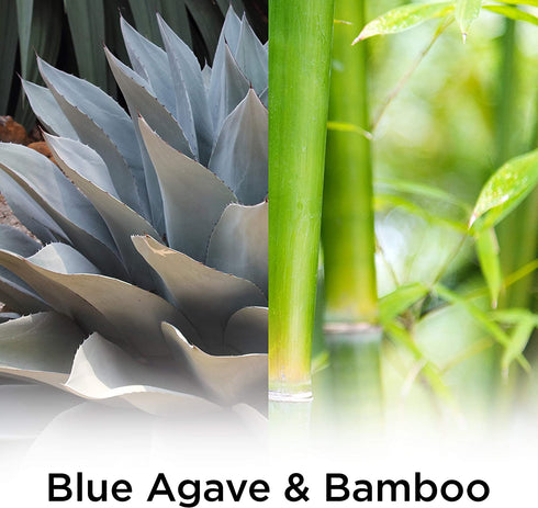 Air Wick Plug in Scented Oil Refill Freshener Essential Oils, Blue Agave and Bamboo, 5 Count