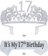 17th Birthday Gifts for Girls, 17th Birthday Tiara and Sash, 17th Birthday Decorations for Girl, 17th Birthday Crown and Sash for Girl, 17 Sash for Girl, 17 Tiaras and Crowns for Girls