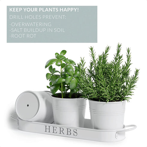 Barnyard Designs Herb Pot Planter Set with Tray for Indoor Garden or Outdoor Use, White Metal Succulent Potted Planters for Kitchen Windowsill, (Set of 3, 4.25? x 4? Planters on 12.5? x 4" Tray)