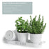 Barnyard Designs Herb Pot Planter Set with Tray for Indoor Garden or Outdoor Use, White Metal Succulent Potted Planters for Kitchen Windowsill, (Set of 3, 4.25? x 4? Planters on 12.5? x 4" Tray)
