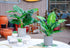 WUKOKU 2pcs Fake Plants 16" Faux Plants Artificial Potted Plants for Home Office Farmhouse Kitchen Bathroom Table Shelf Decor