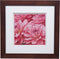 Gallery Solutions 17FW1481 Wall Mount Double Mat Picture Frame, 8" x 8" With Mat or 12" x 12" Without Mat, Walnut