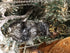Old World Christmas Vintage Raccoon