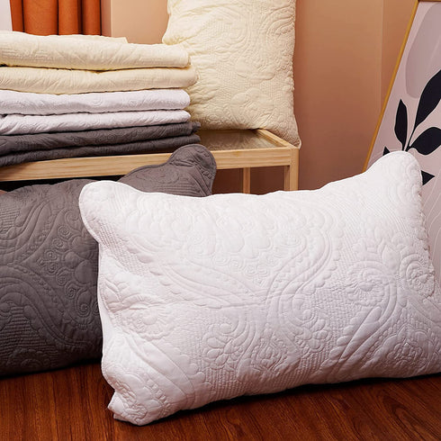 BOSOWOS Queen Pillowcases Set of 2, White Ruffles Embroidered Pillow Cases 20 x 30 Inch, Soft Breathable Microfiber Decorative Pillow Shams 2 Pack with Envelope Closure Fit Home Bed Sheet Sleeping