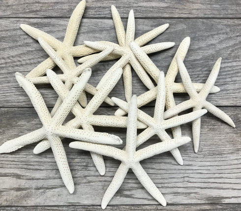 Starfish Decor - 10 White Finger Star Fish 6-8 Inch - Starfish for Crafts - White Starfish Wall Décor - Beach Wedding Starfish - Beach Starfish Décor - Star Fish Decorations