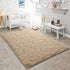 Pacapet Fluffy Area Rugs, Beige Shag Rug for Bedroom, Plush Furry Rugs for Living Room, Fuzzy Carpet for Kid's Room, Nursery, Home Decor 3 x 5 Feet