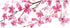 Tervis Sakura Japanese Cherry Blossom Made in USA Double Walled Insulated Tumbler, 16 oz Mug No Lid, Classic - Unlidded