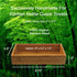 Bamboo Guest Towel Holder (9.75"x 5.50"x 2") Wooden Bathroom Napkin Tray Multipurpose Organizer & Accessory Drop Box - For Guest Bathroom, Dining Table, Kitchen Counter & Drawers